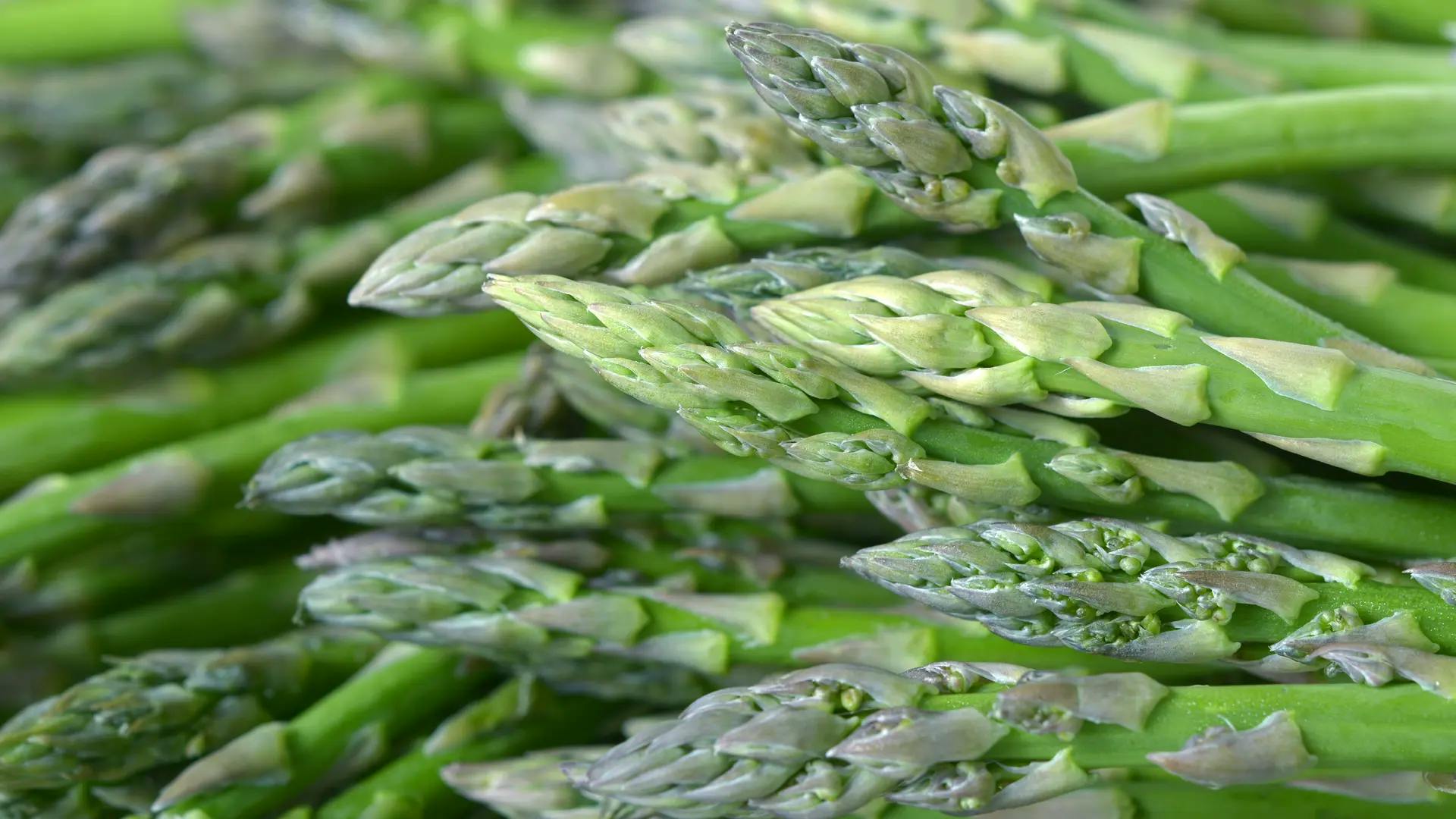 Tilbered asparges - 4 enkle måter